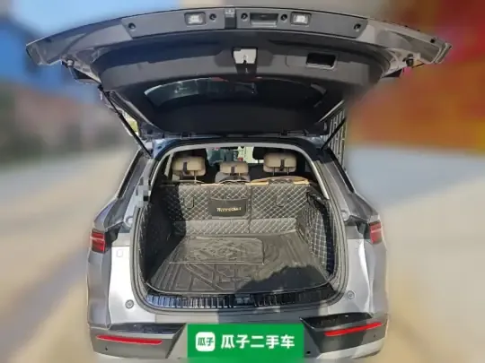 BYD Song Pro New Energy 2025 (12300 км)