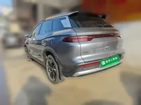 BYD Song Pro New Energy 2025 (12300 км)