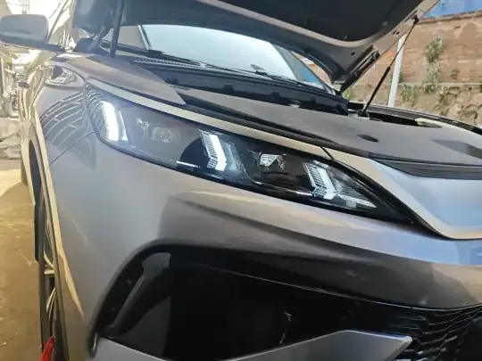 BYD Song Pro New Energy 2025 (12300 км)
