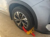 BYD Song Pro New Energy 2025 (12300 км)