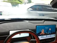 Dongfeng eπ eπ008 2025 (10000 км)