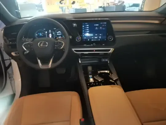 Lexus RX 2025 (7300 км)