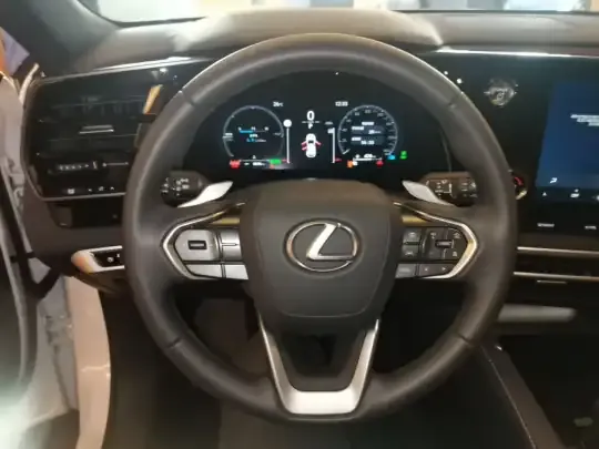 Lexus RX 2025 (7300 км)