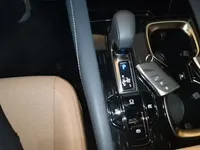 Lexus RX 2025 (7300 км)