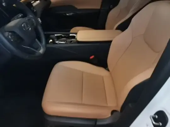 Lexus RX 2025 (7300 км)