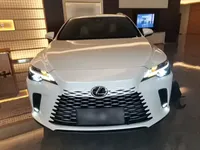 Lexus RX 2025 (7300 км)