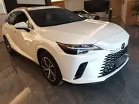 Lexus RX 2025 (7300 км)