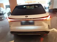 Lexus RX 2025 (7300 км)