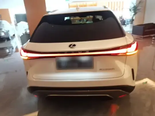 Lexus RX 2025 (7300 км)