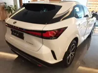 Lexus RX 2025 (7300 км)