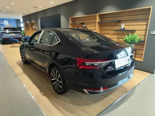 Skoda Superb 2025 (100 км)
