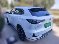 Qiyuan Q05 2025 (54100 км)