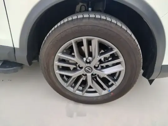 Nissan Qashqai 2025 (2800 км)