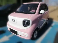 Bestune Pony 2025 (8400 км)