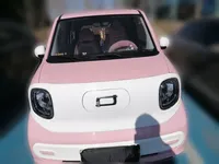 Bestune Pony 2025 (8400 км)