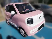 Bestune Pony 2025 (8400 км)