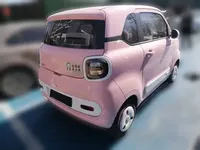 Bestune Pony 2025 (8400 км)