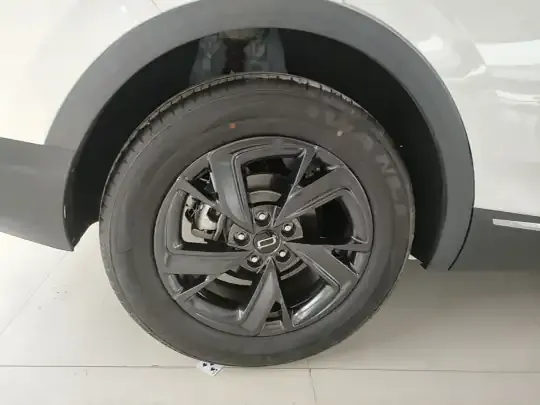 Bestune T90 2025 (900 км)