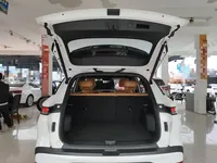 Bestune T90 2025 (900 км)