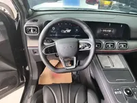 Chery Tiggo 9 2025 (55900 км)