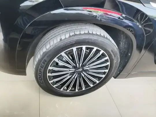 Chery Tiggo 9 2025 (55900 км)