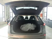 Chery Tiggo 9 2025 (100 км)