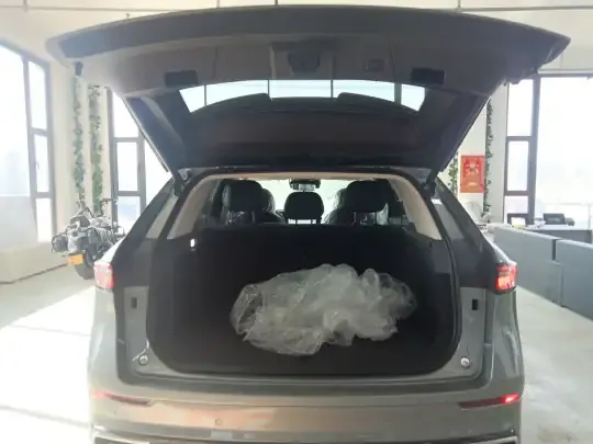 Chery Tiggo 9 2025 (100 км)