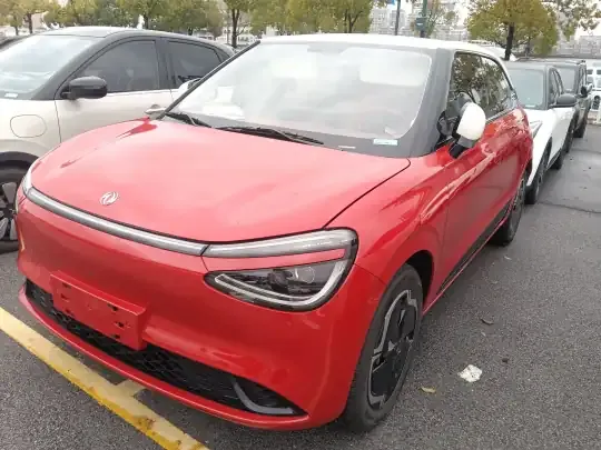 Dongfeng NAMMI 01 2024 (4600 км)
