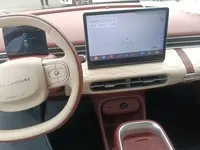 Dongfeng NAMMI 01 2024 (4600 км)