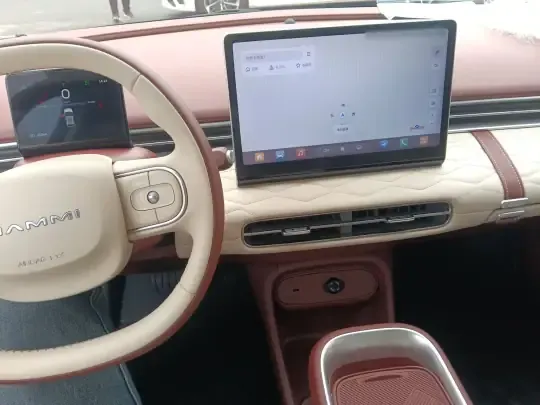 Dongfeng NAMMI 01 2024 (4600 км)
