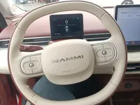 Dongfeng NAMMI 01 2024 (4600 км)