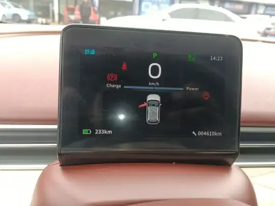 Dongfeng NAMMI 01 2024 (4600 км)