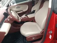 Dongfeng NAMMI 01 2024 (4600 км)