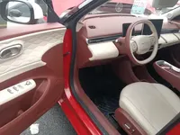 Dongfeng NAMMI 01 2024 (4600 км)