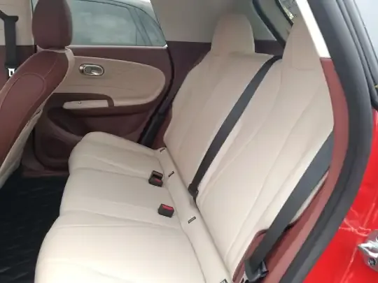Dongfeng NAMMI 01 2024 (4600 км)