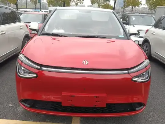 Dongfeng NAMMI 01 2024 (4600 км)