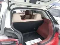 Dongfeng NAMMI 01 2024 (4600 км)