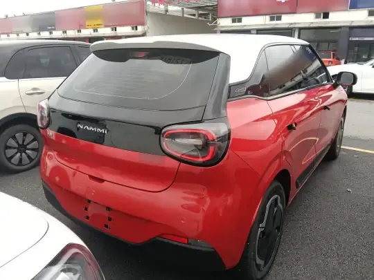 Dongfeng NAMMI 01 2024 (4600 км)
