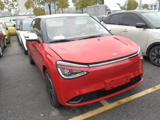 Dongfeng NAMMI 01 2024 (4600 км)