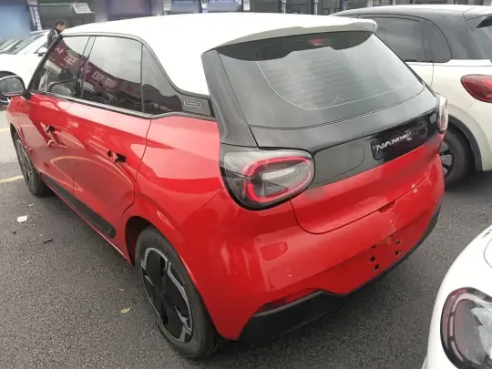 Dongfeng NAMMI 01 2024 (4600 км)