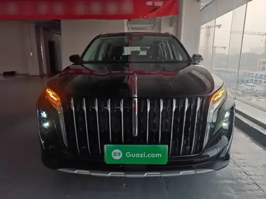 Hongqi HS7 PHEV 2024 (100 км)