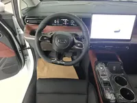 GAC Trumpchi E8 New Energy 2024 (100 км)