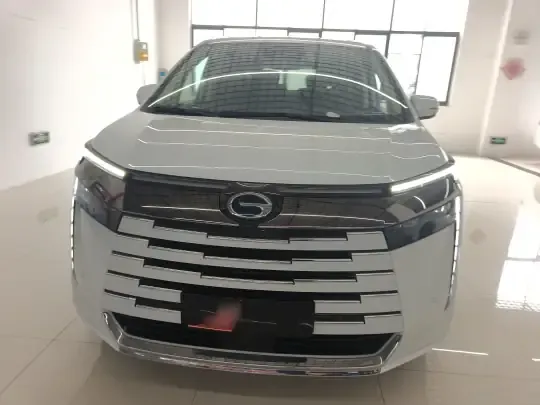 GAC Trumpchi E8 New Energy 2024 (100 км)