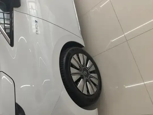 GAC Trumpchi E8 New Energy 2024 (100 км)