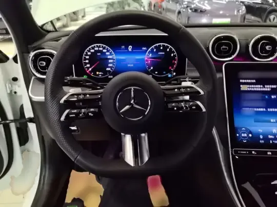 Mercedes-Benz C-Class 2025 (14100 км)