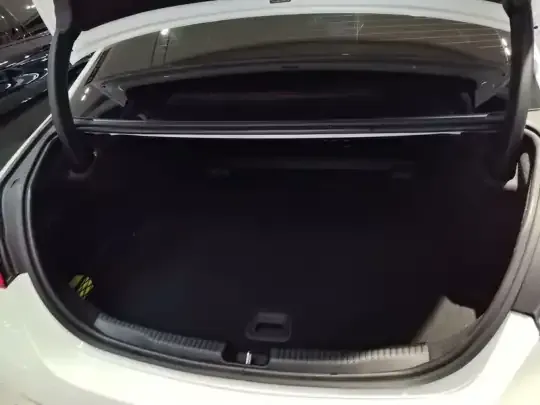 Mercedes-Benz C-Class 2025 (14100 км)