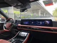 Lincoln Aviator 2024 (8300 км)