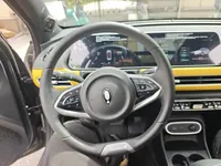 ORA Good Cat GT 2024 (23500 км)