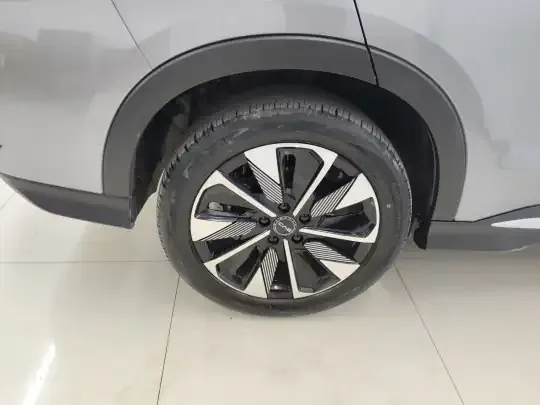 BYD Song PLUS New Energy 2025 (27400 км)