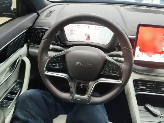 BYD Song PLUS New Energy 2025 (27400 км)